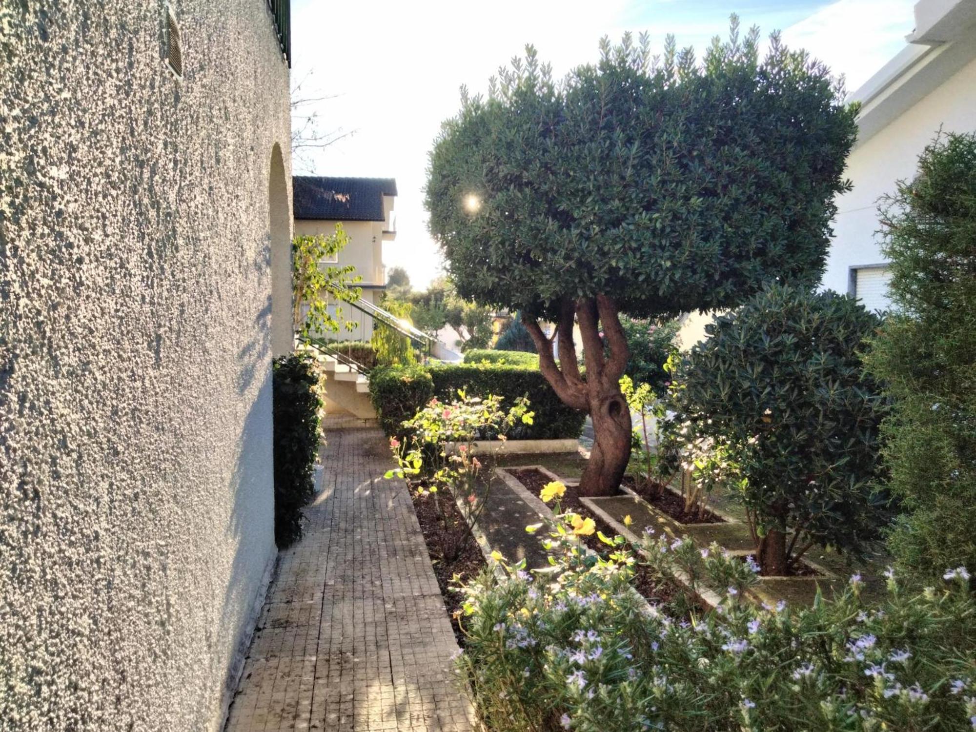 Bed and Breakfast Casa Xantarim Santarém Esterno foto
